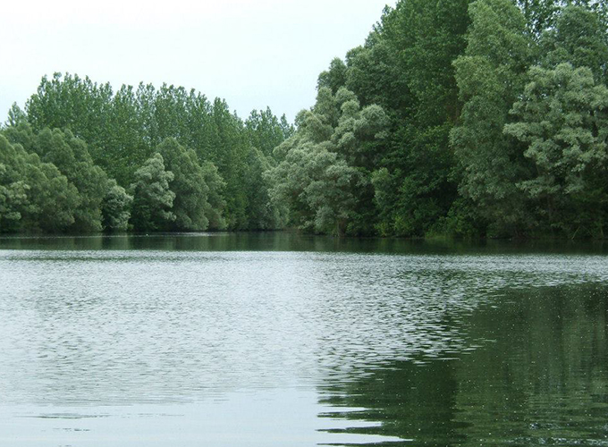 Étang Sauvage
