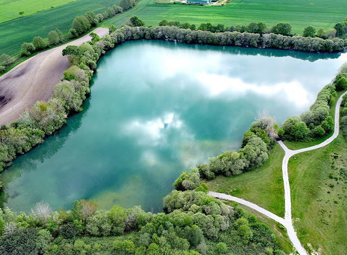 Emeraude Carp