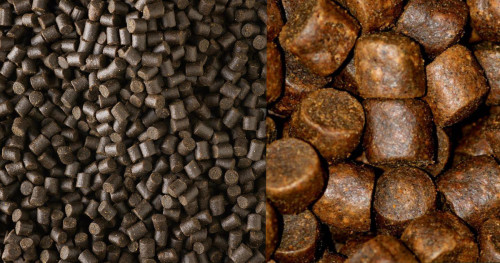 Pêcher la carpe aux pellets : esche ou amorce ?