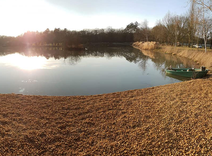 Etang du Vivier