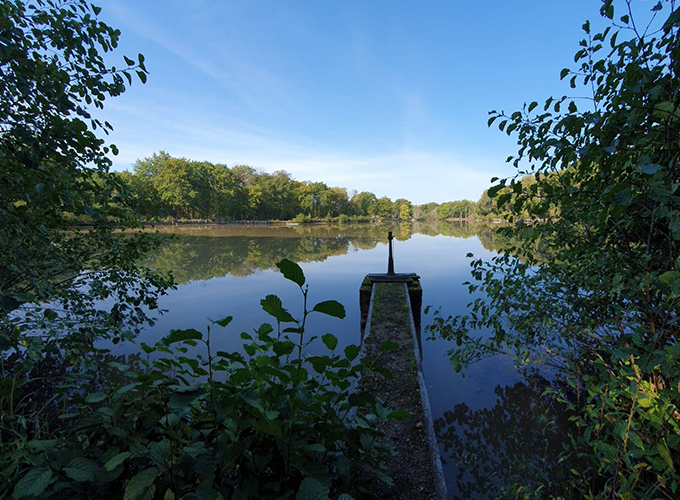 IZY Carp Lake