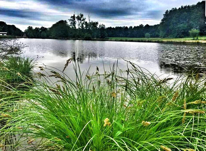 Etang de Manus