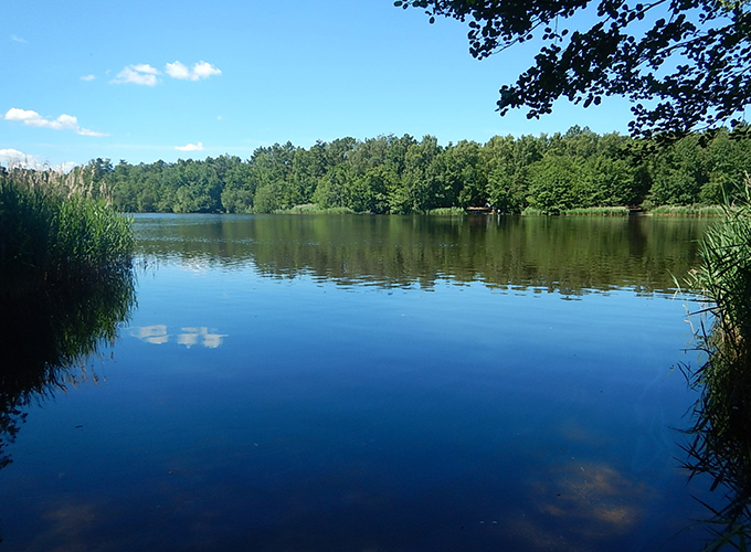 Etang de la Lande