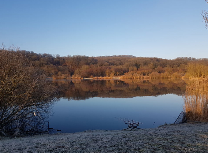 Etang Magnifi'carpe