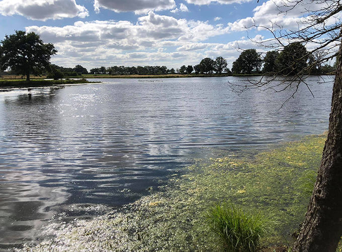 Etang de la Loge