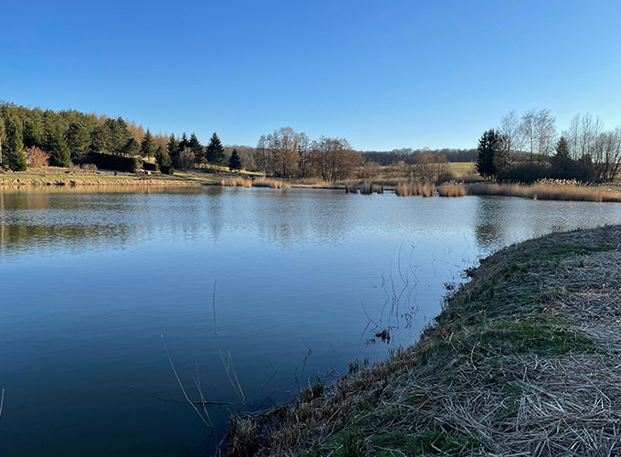 Etang Oberwiese