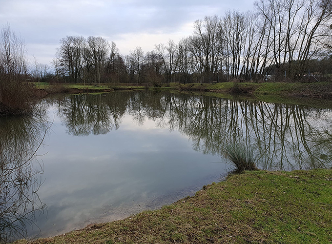 Etang de Pansey