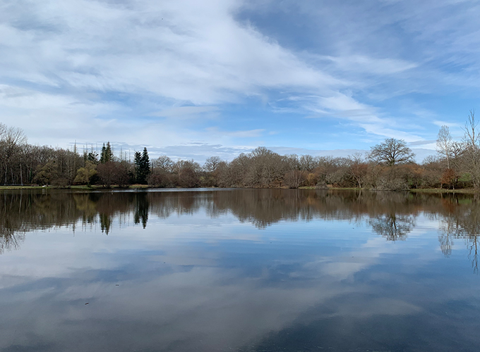 Hypnotik Lake