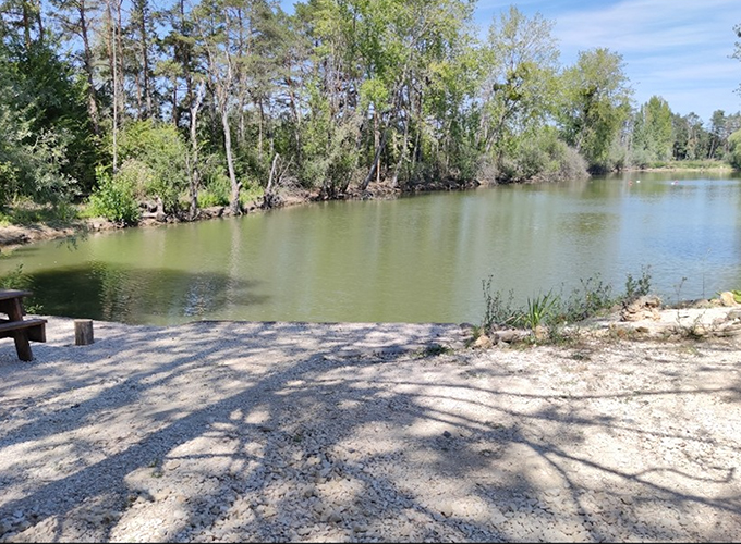 Etang de l'Anodonte