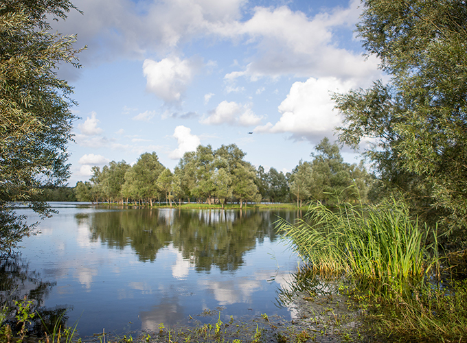 Etang de la Grange