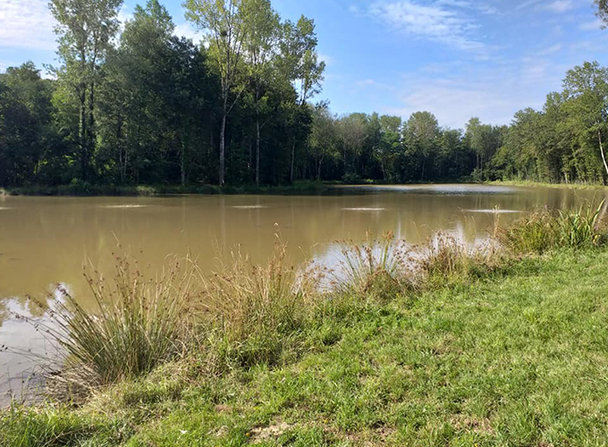 Etang de la Liambe