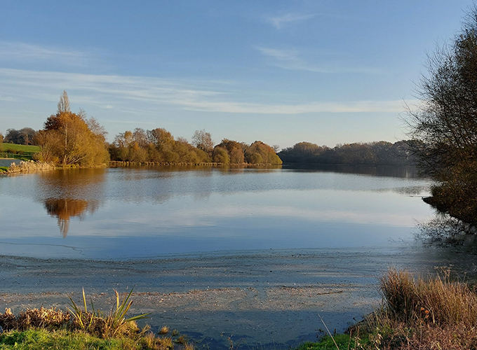 Etang de la basse roussière