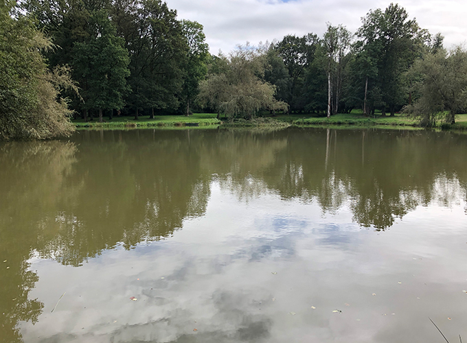 Etang Robinson