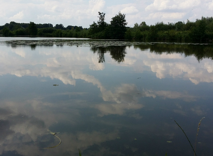 Domaine du Grand Marais - Étang 2
