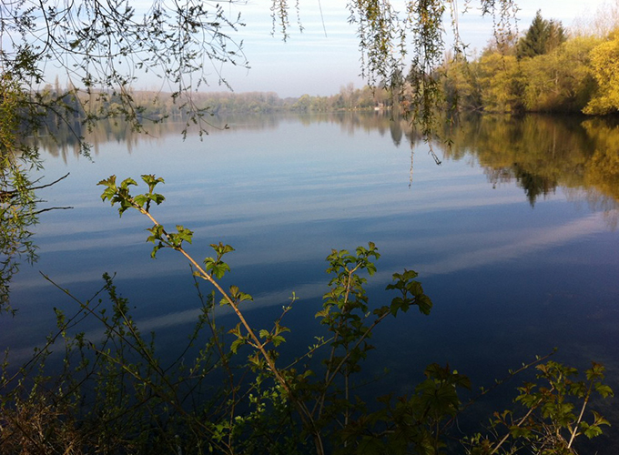 Natura Carpe - Grand Étang