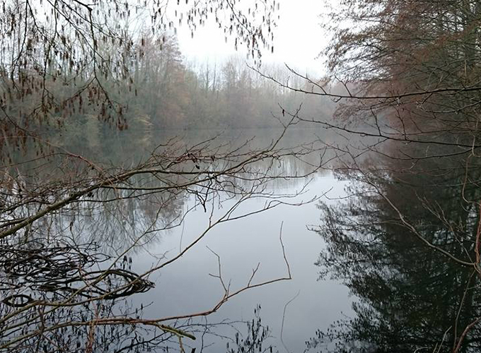 Étang des Neuf Boeufs