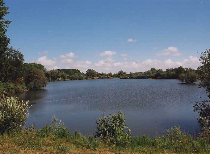 Le Narvik - Étang du Narvik