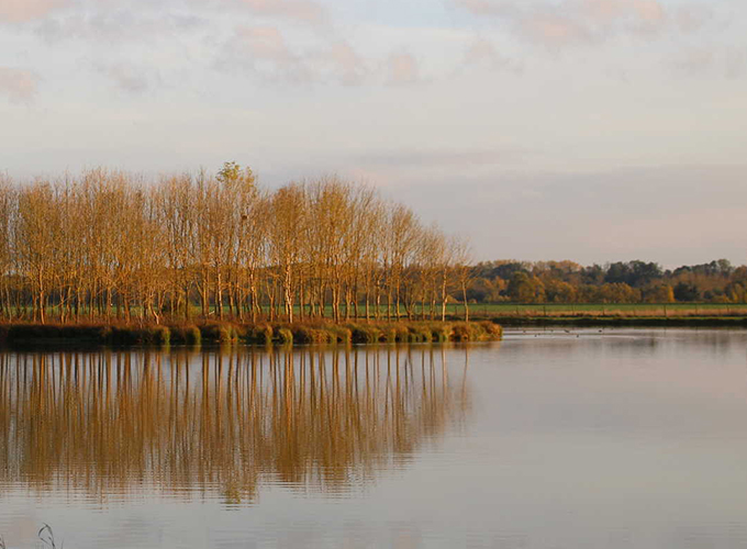 Étang des Fourches