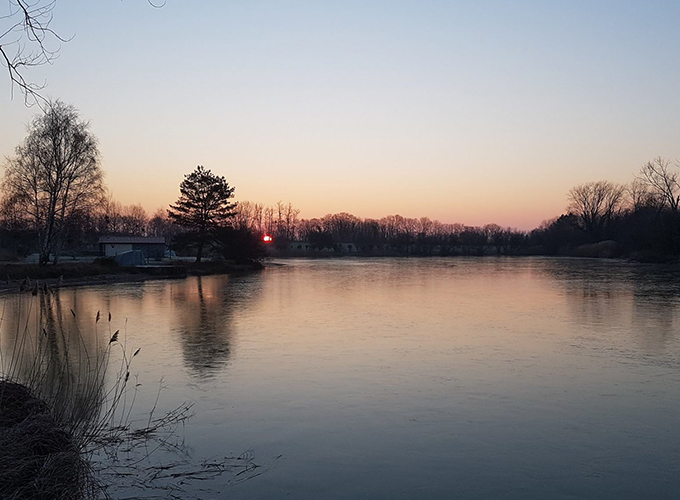 Étang de la Carpe d'Or - Golden Carp Lake
