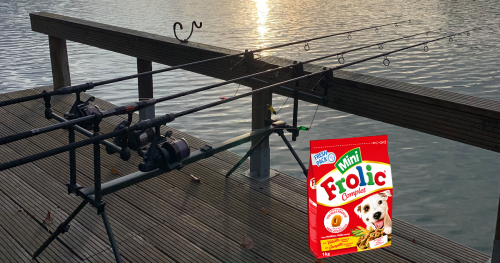 Carpe au Frolic, l'appât ultime des pêches rapides