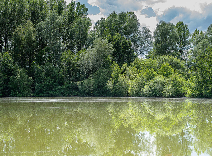 Domaine de Noute - Etang 2