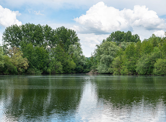 Domaine de Noute - Etang 4