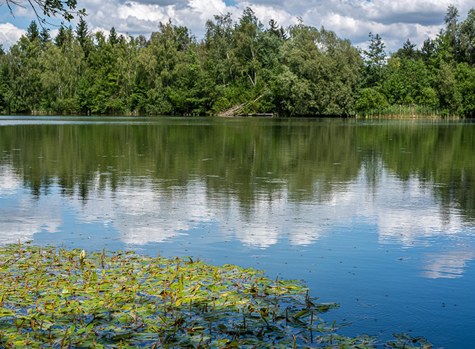 Domaine de Noute - Etang 1