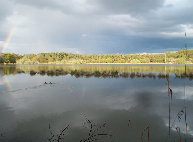 Etang du Mez Savary