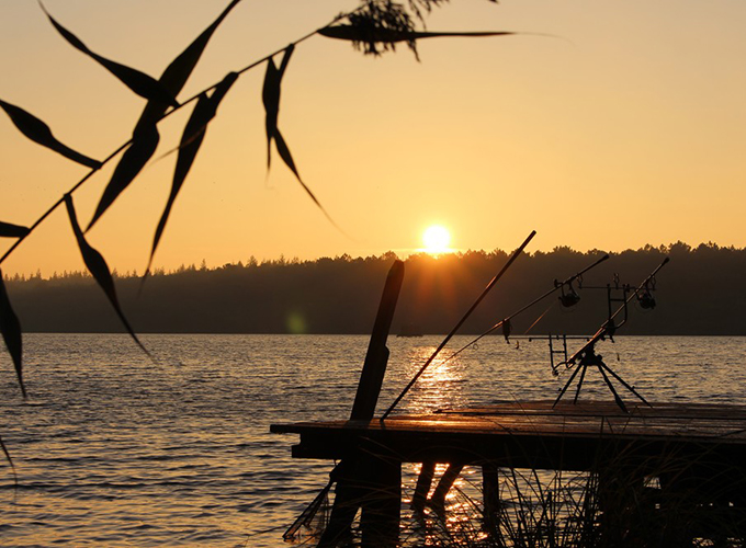 Étang de La Poitevinière