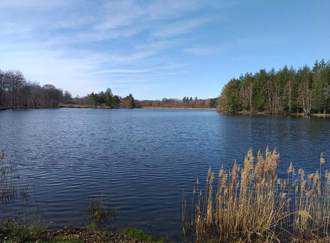 Etang Neuf en Combrailles