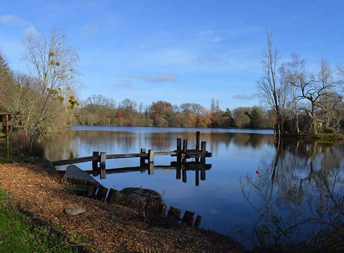 Nature Varuna - Etang de la Berthaudière
