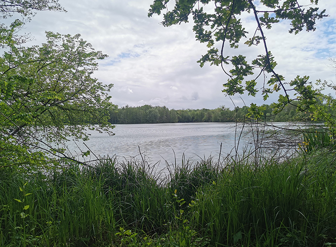 L'étang des Terres Moreau