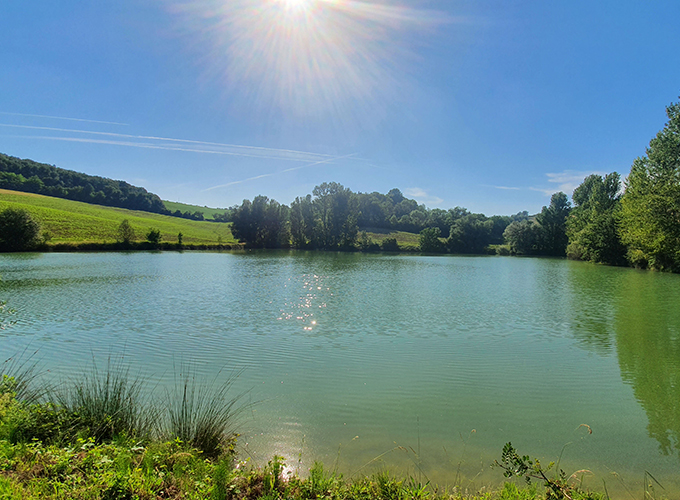 Domaine d'En Naudet - Etang du haut