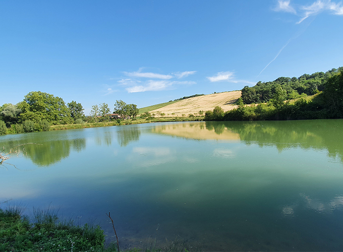 Domaine d'En Naudet - Etang du bas