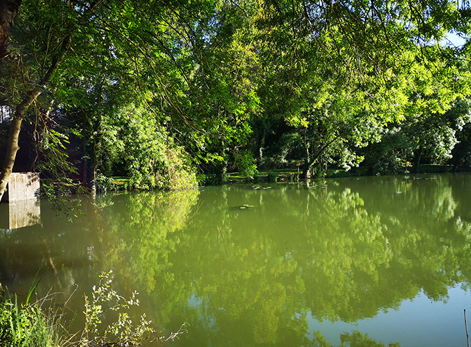 Etang du Pré des Veudes