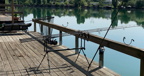 Pêcher la carpe : piques ou rodpod ?