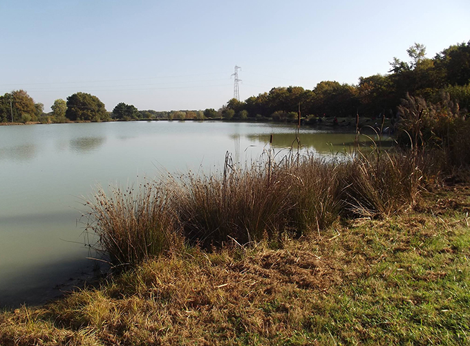 Etang des Brandes - Carpodrome