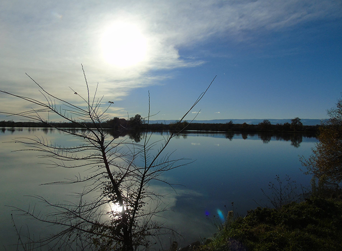 Etang de Chambéon