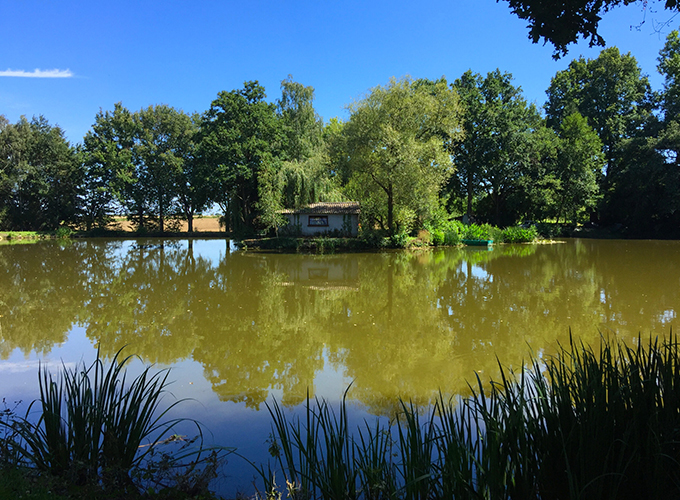 The Carp Lodge