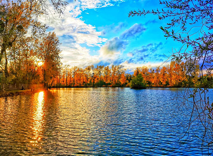 Etang de l'îlot