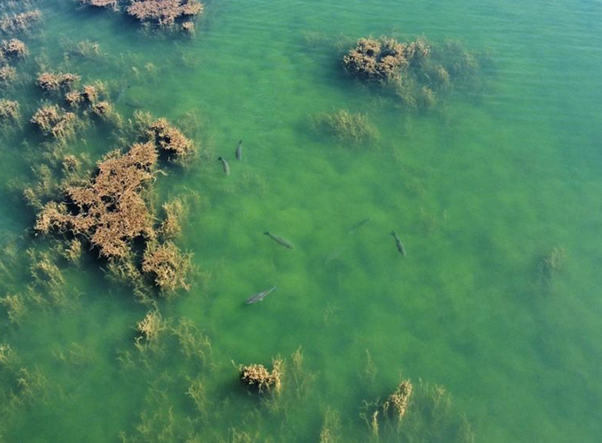 Jurassik Carpe - Etang 3