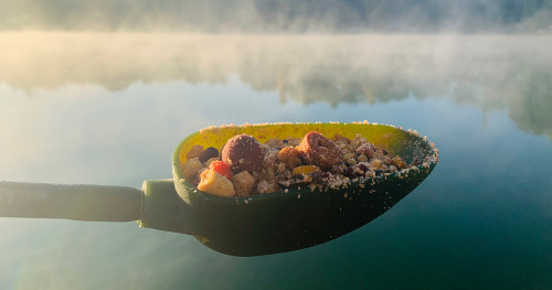 Peut-on pêcher la carpe sans bouillettes ?