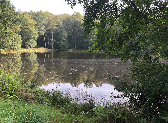 Etang Carrelet